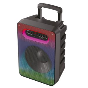 Bafle Karaoke NECNON Bluetooth 12 pulgadas NB-12F TWS Incluye Microfono Alambrico Control Remoro