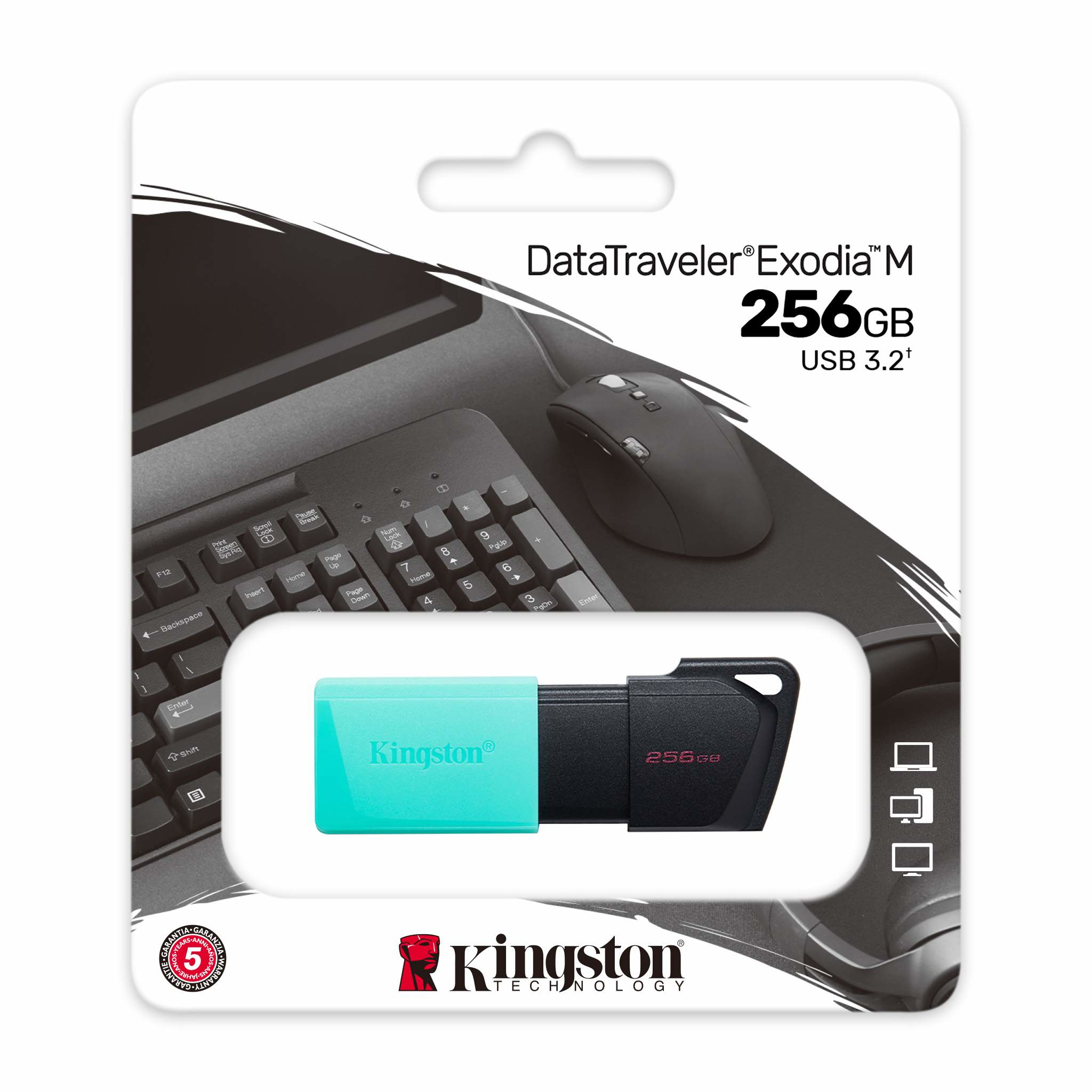 Memoria USB de 256GB Kingston DTXM/256GB (Black + Teal)