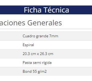 Cuaderno Nextep NE-007g cuadro numero 7 tamaño profesional con 100 hojas de resorte
