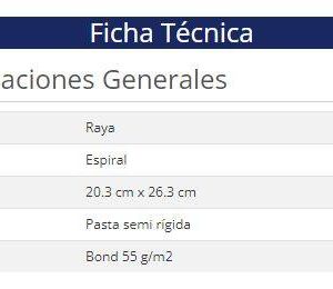 Cuaderno Nextep NE-007R a rayas tamaño profesional con 100 hojas de resorte