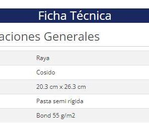 Cuaderno Nextep NE-008R a rayas tamaño profesional Cosido con 100 hojas